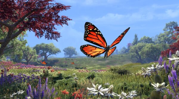 Бабочка-монарх / Monarch Butterfly